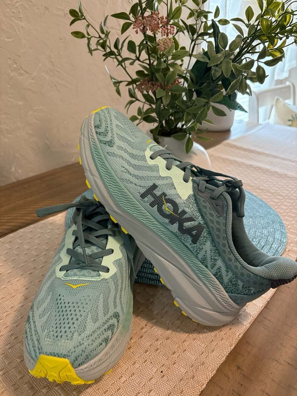 Hoka Challenger ATR 7 Men's Trail Running Shoes Size 9.5 Green (B-3)
